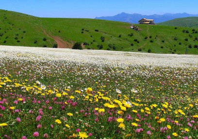 tehran-shoraz بلیط اتوبوس تهران شیراز